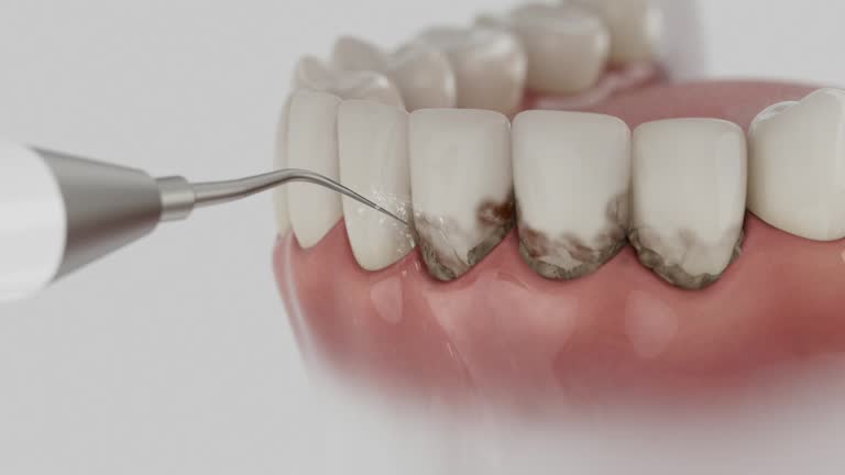 Reliable Dental contractor in Benewah County County, ID by Dentist Open Now